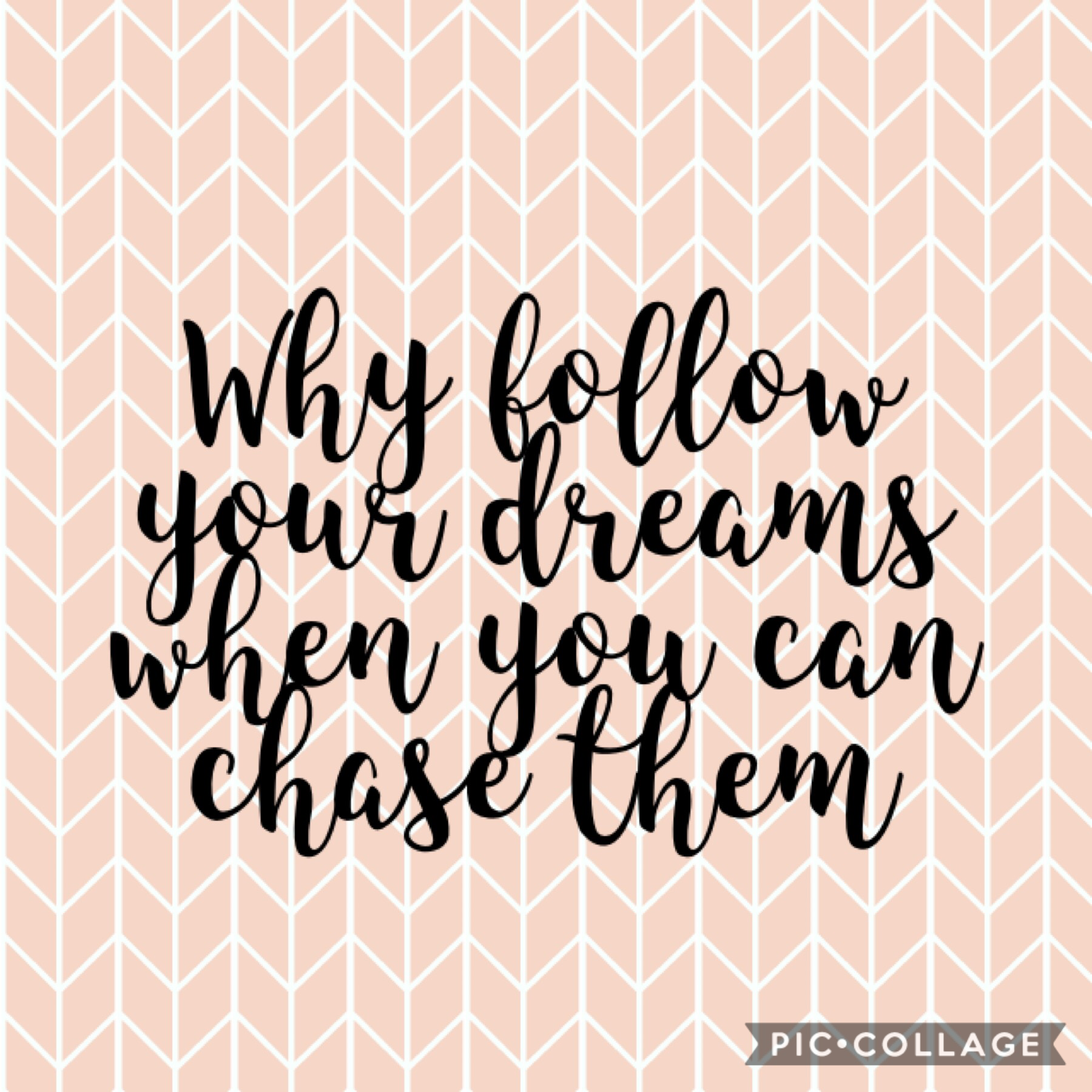 Why follow your dreams when you can chase them 