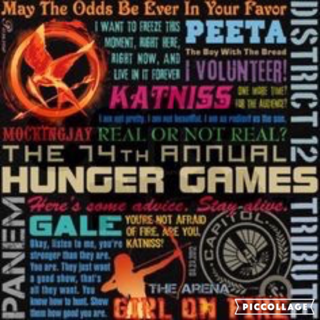 Hunger games collage