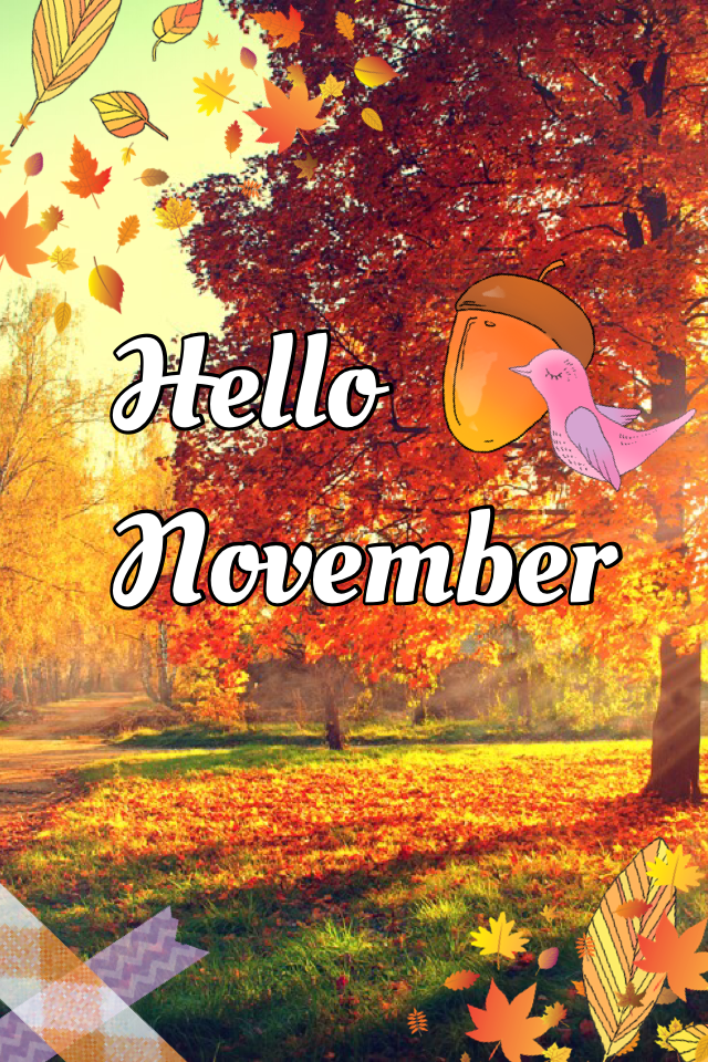 Hello November
