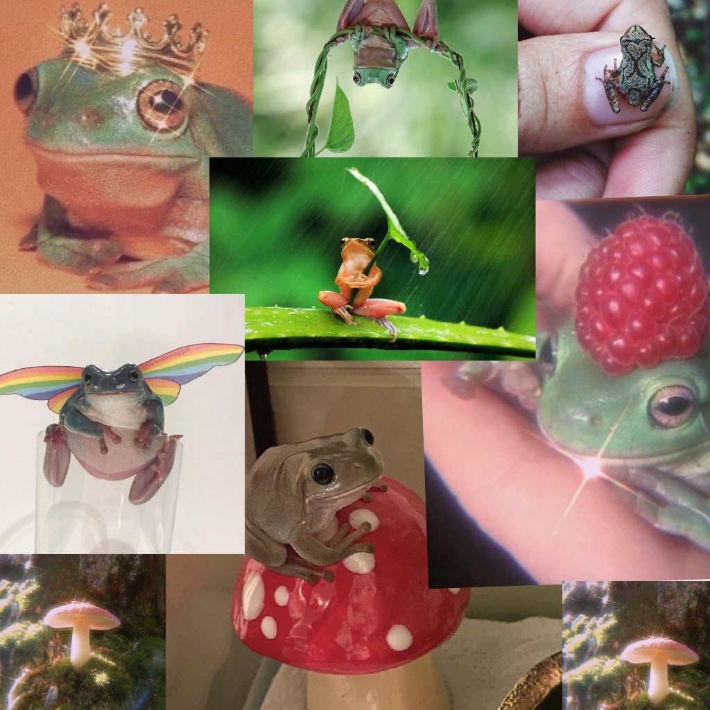 Froggy 🐸 