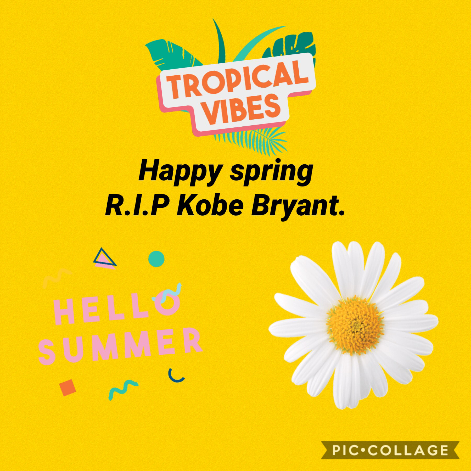 Happy spring. R.I.P Kobe Bryant