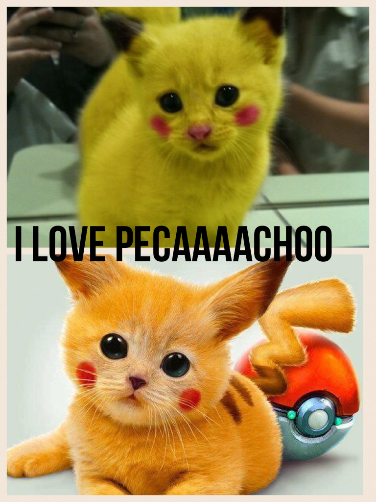 I love pecaaaachoo