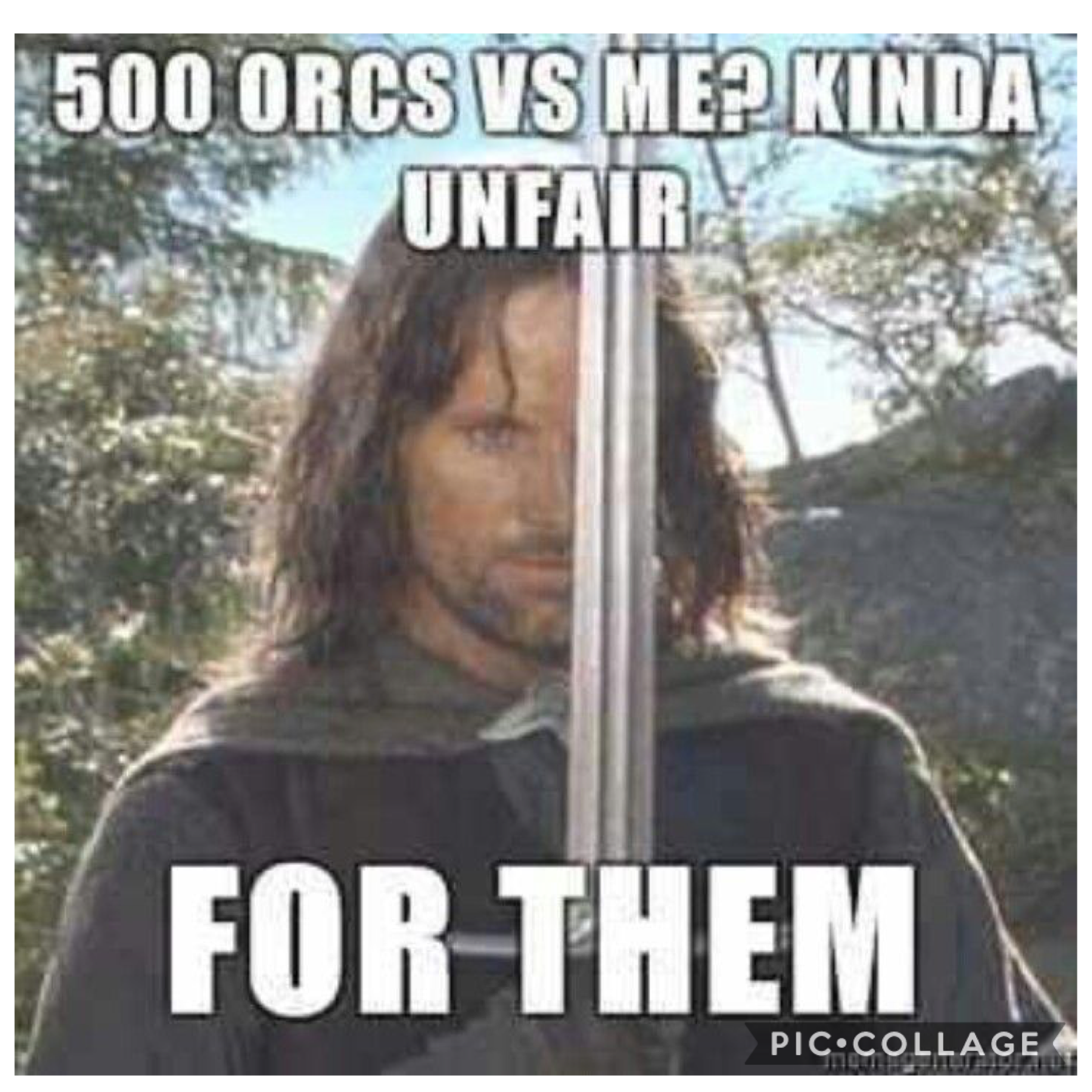 yes Aragorn we know