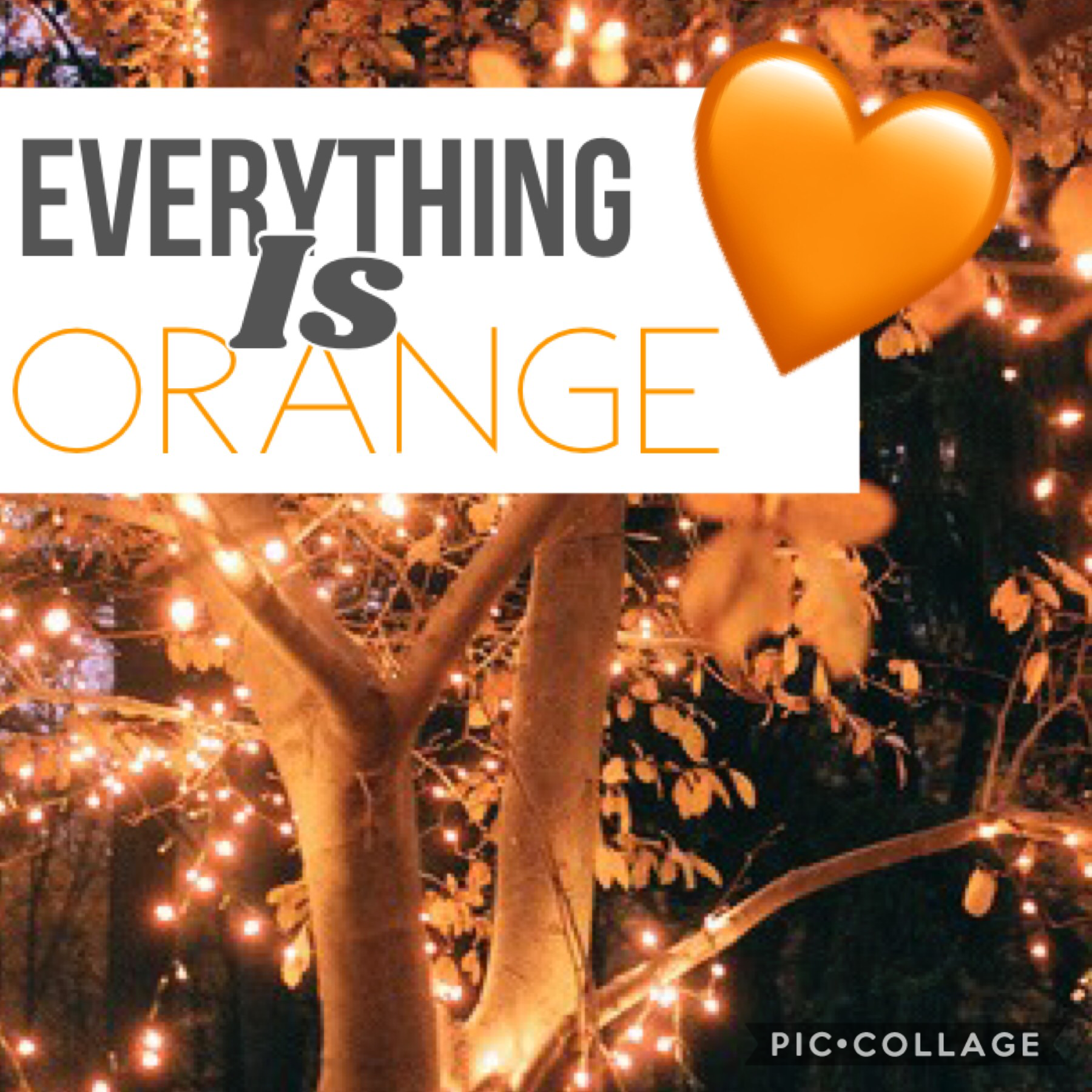 Everything is  O R A N G E 🧡🧡🧡🧡🧡