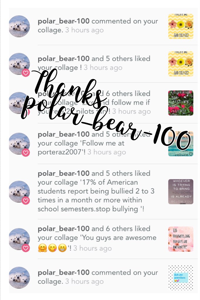Go follow me and polar_bear-100