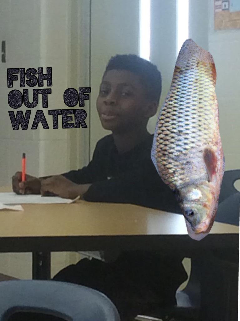 Fish out of water 