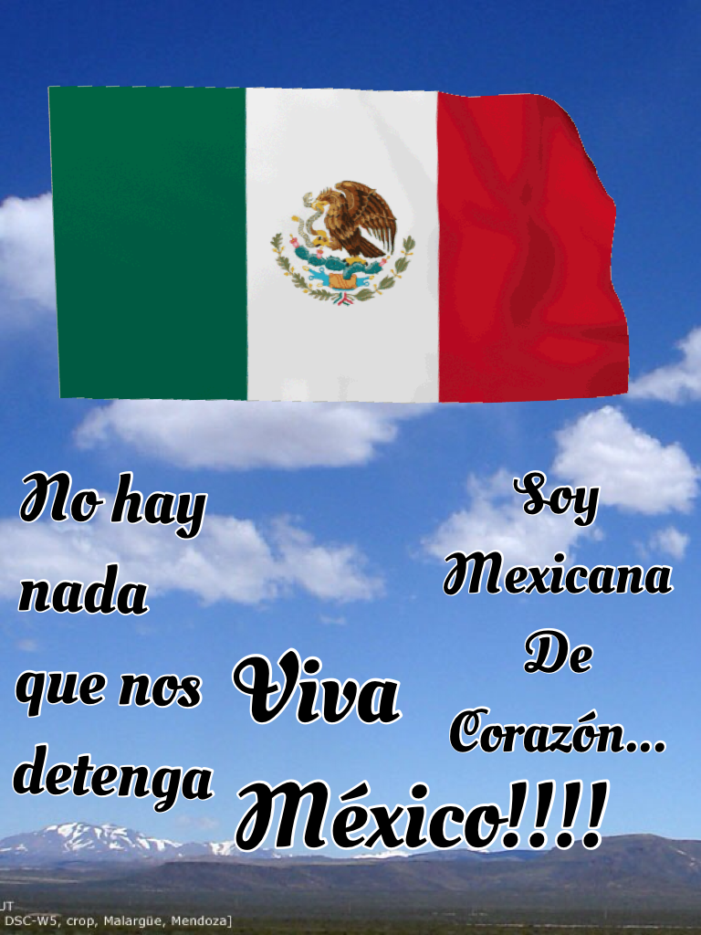 Viva México!!!!
