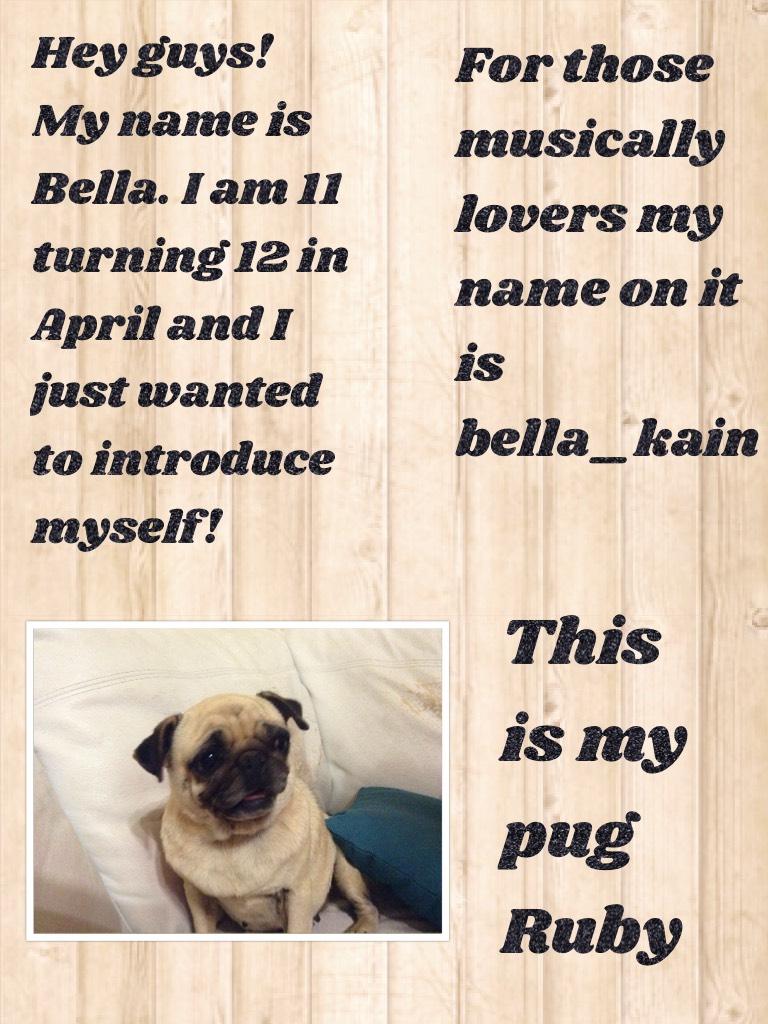 Bella's Introduction⚡️
