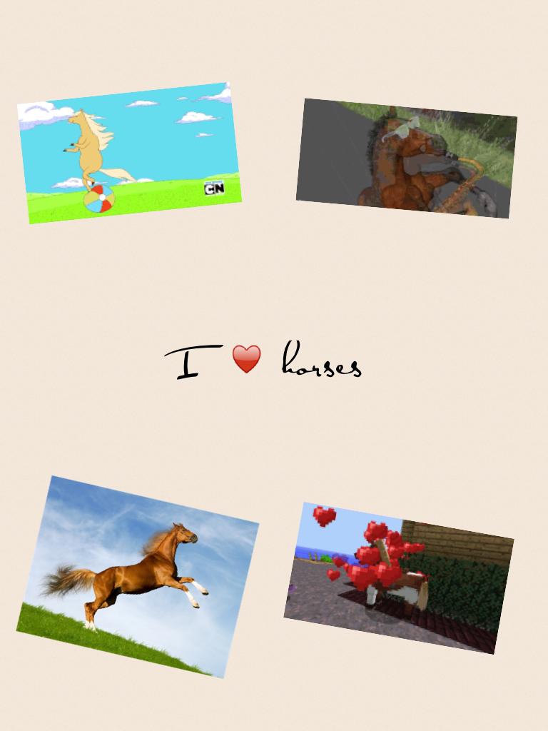 I ♥️ horses