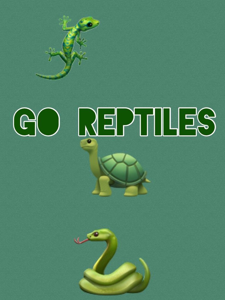 Click the🐍🐢🦎
Snakes RULE
TURTELS ARE ALRIGHT 
LIZARDS ARE ASWOME TO