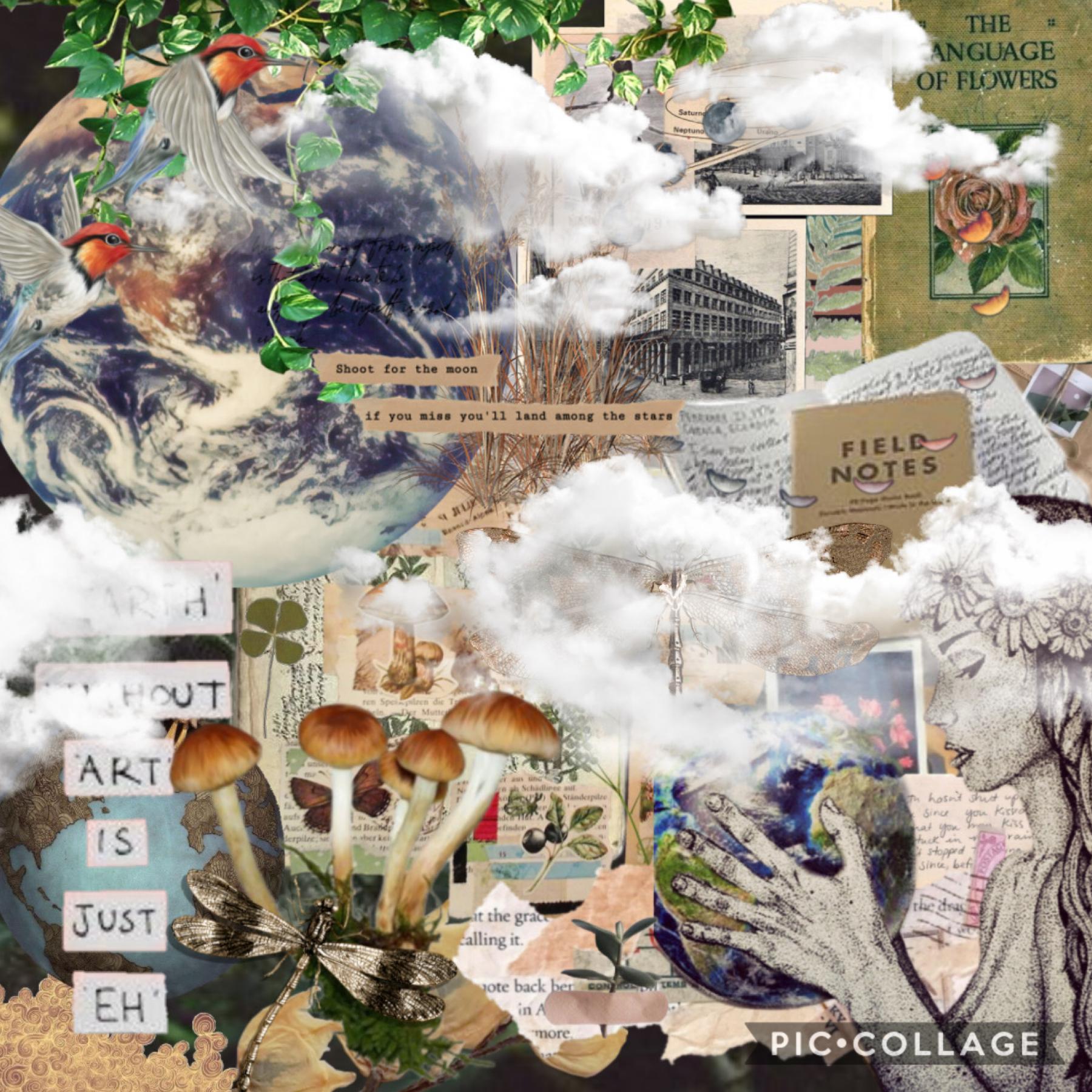 🌎Happy earth day 🌍 (click)

This collage is kind of all over the place but that’s fine