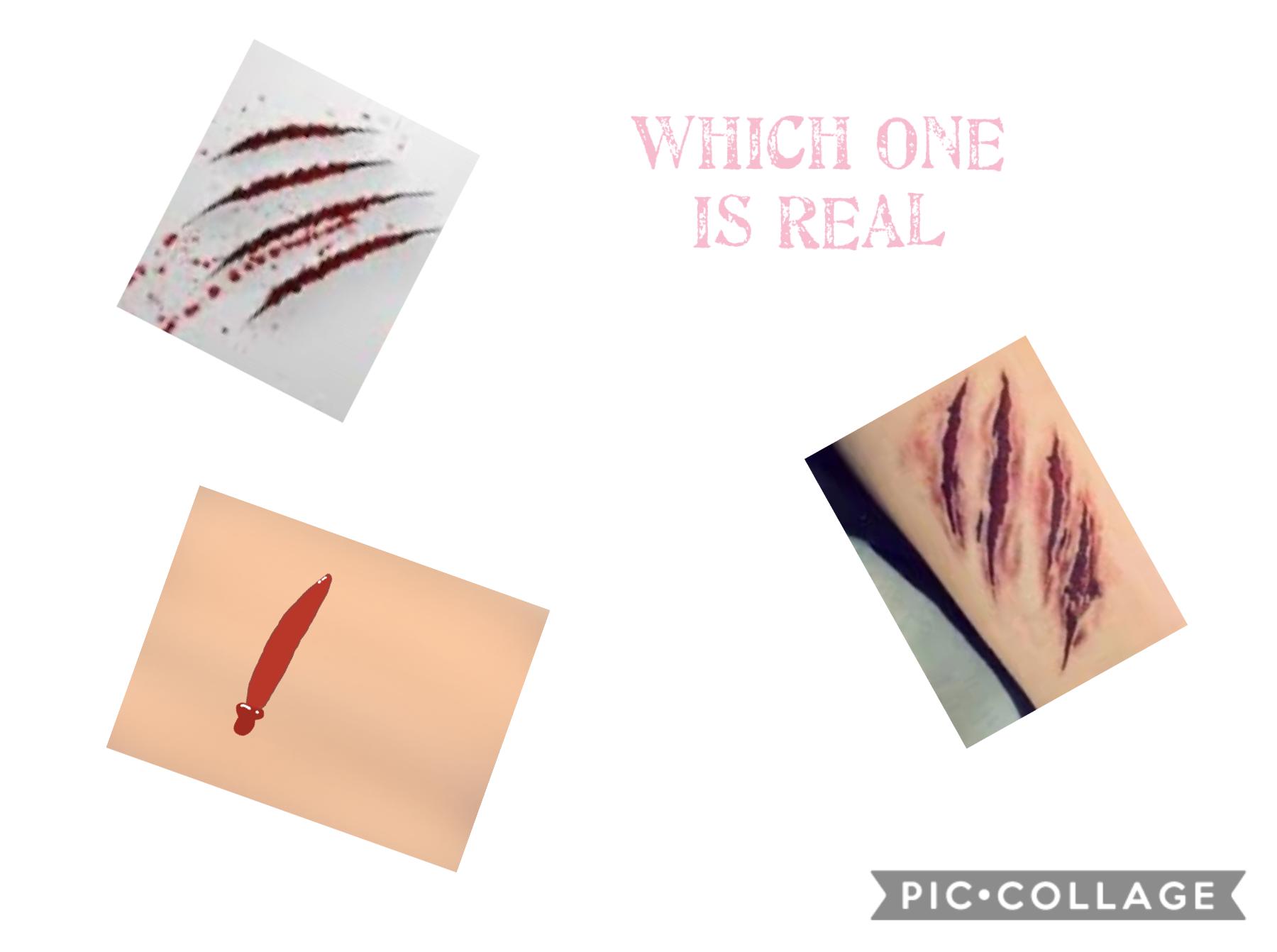 Tell me in the comments and don’t go by if it’s on the skin it could be any of them but choose wisely!😊