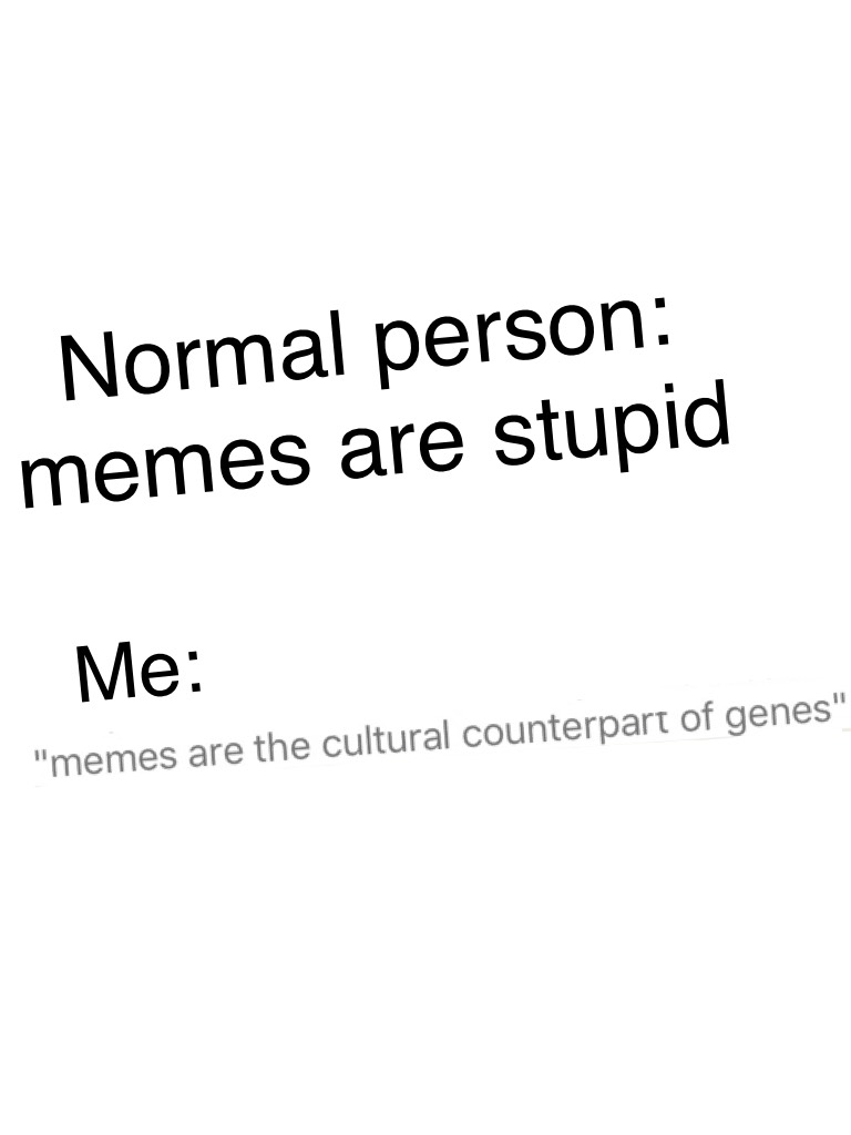 Normal person: memes are stupid😂