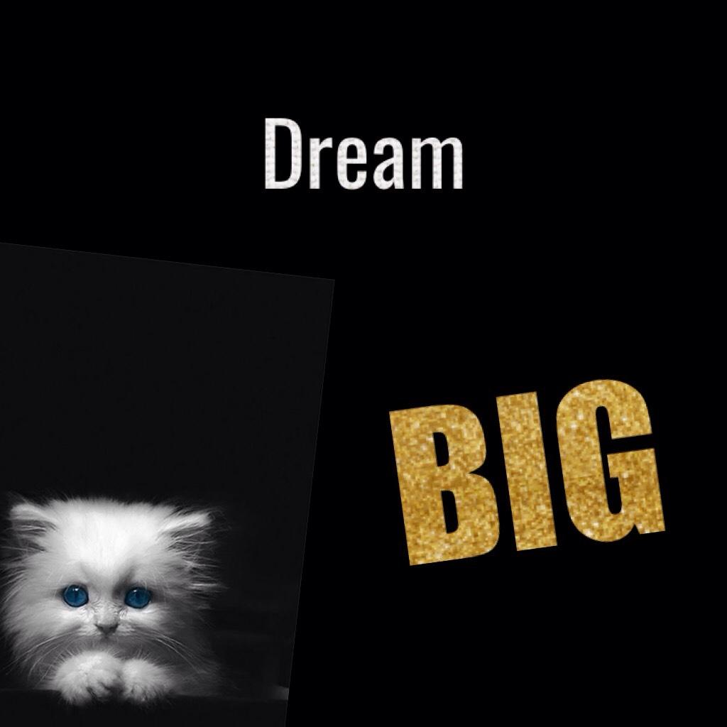 dream big..