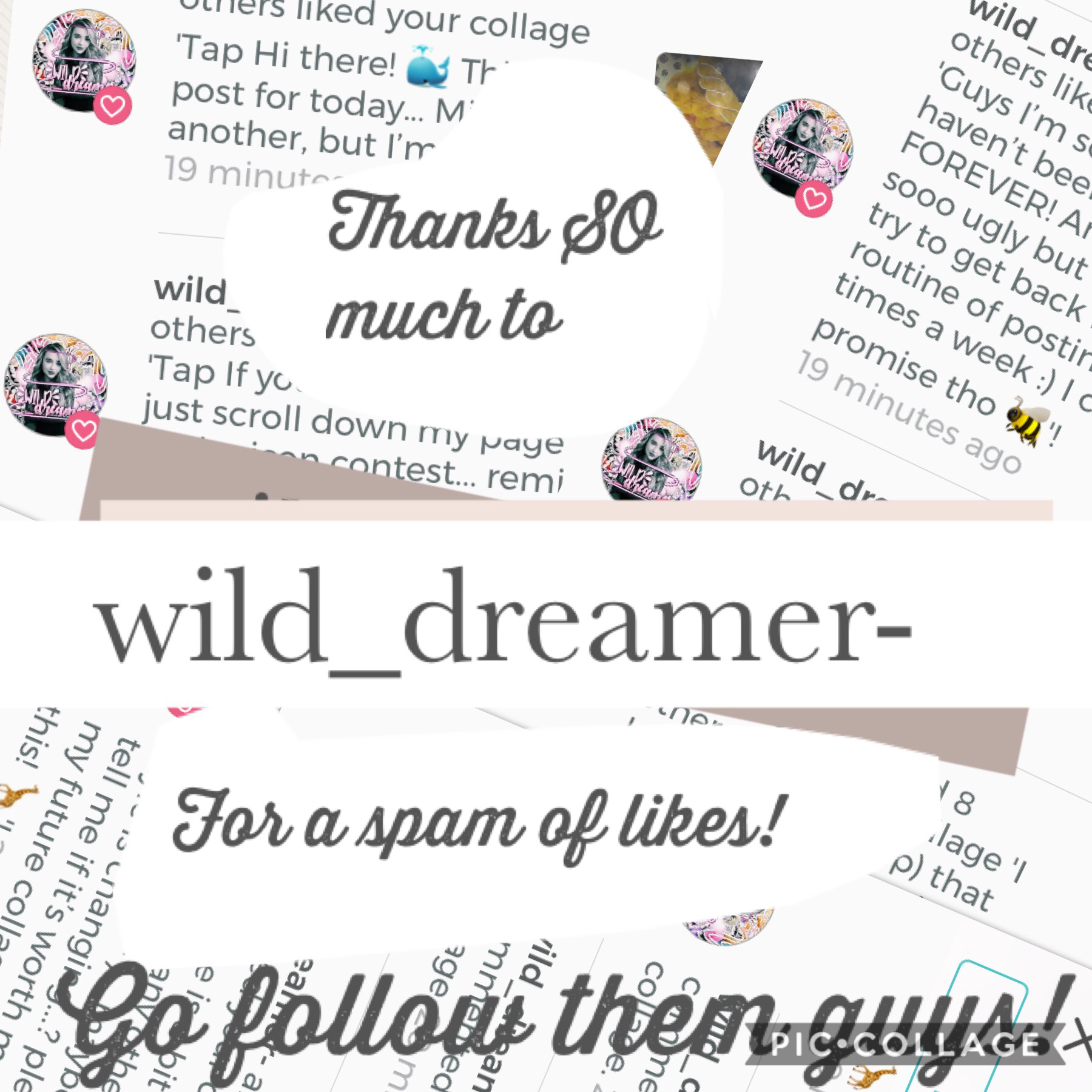 Tap!
WHOOP! WHOOP! WHOOOOOP!!! Yay! Thx SO much@wild_dreamer- !! You are the first person I have given a shoutout to for a spam of likes! I’m gonna do it more often, it makes me feel so HAPPY!🤣 go follow them! They’re amazing! 🐨🐤🐝🐙🐳🦔