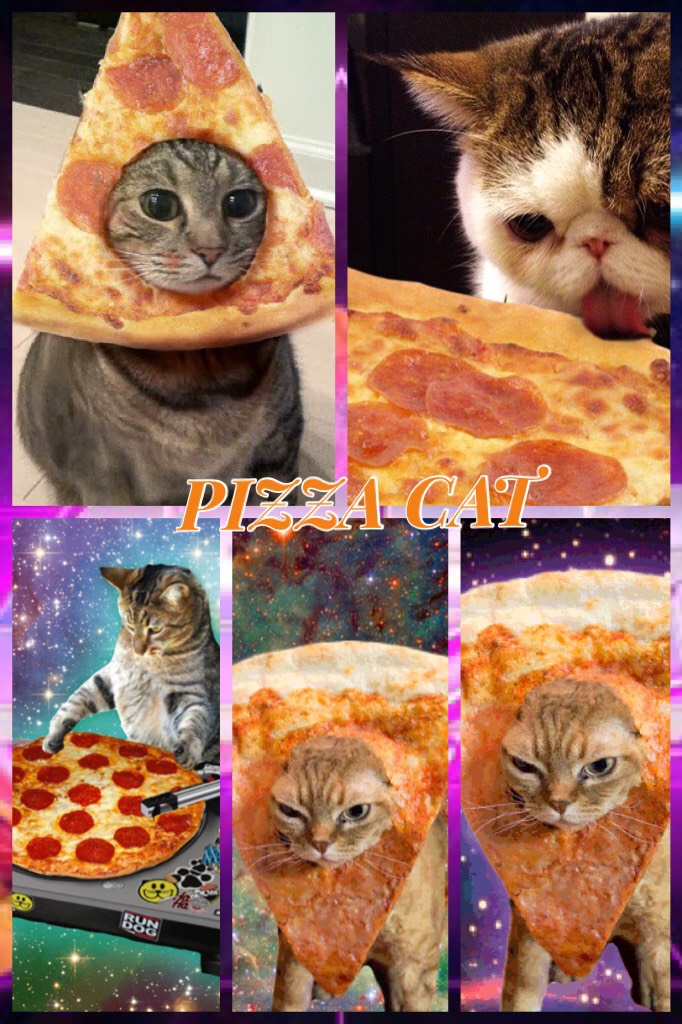 PIZZA CAT favorite food PIZZA what’s urs