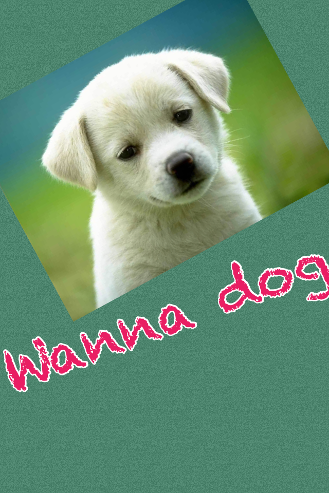 Wanna dog