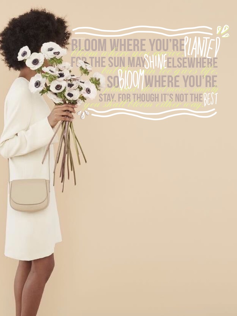 “🌾tap🌼”
Agh, sorry for the bad edit and for the lack of collages. Poem by me😝. I have been busy with school work and book covers for friends. Hope y’all have been INCREDIBLE! I WATCHED LOVE SIMON! it is too amazing, go watch and read it❤️