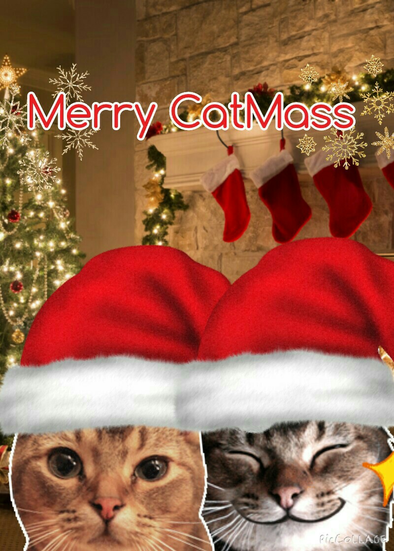 Merry CatMass