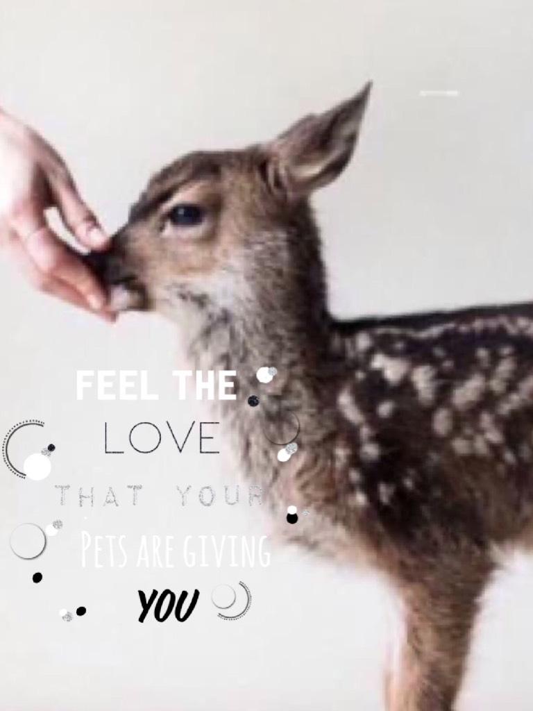 🍀Tap🍀

I love this baby deer!🦌