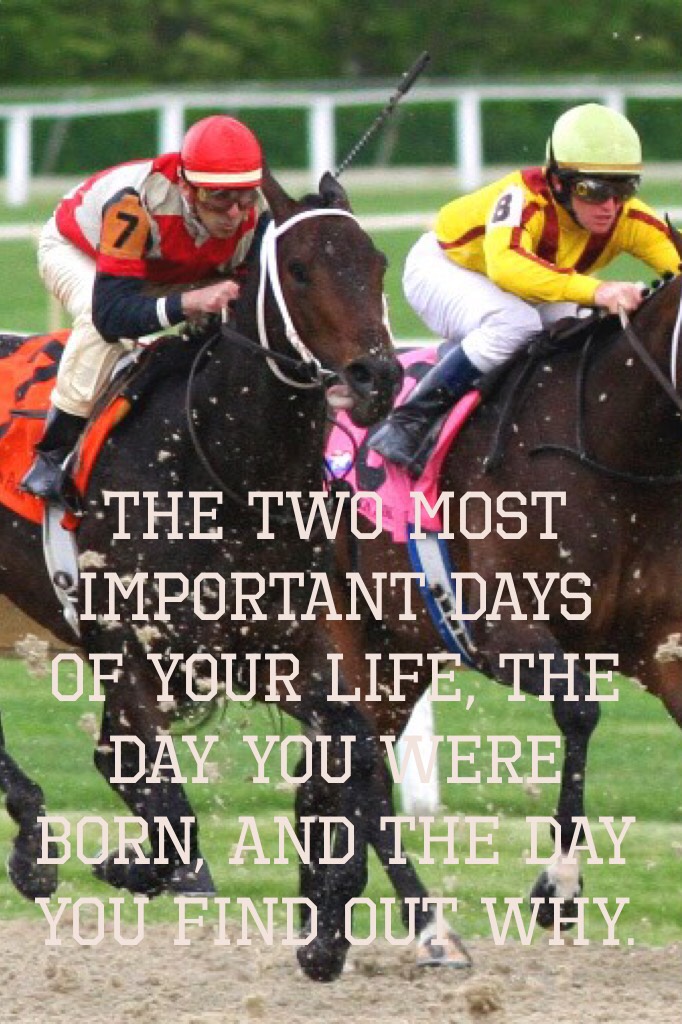 The two most important days of your life, the day you were born, and the day you find out why.