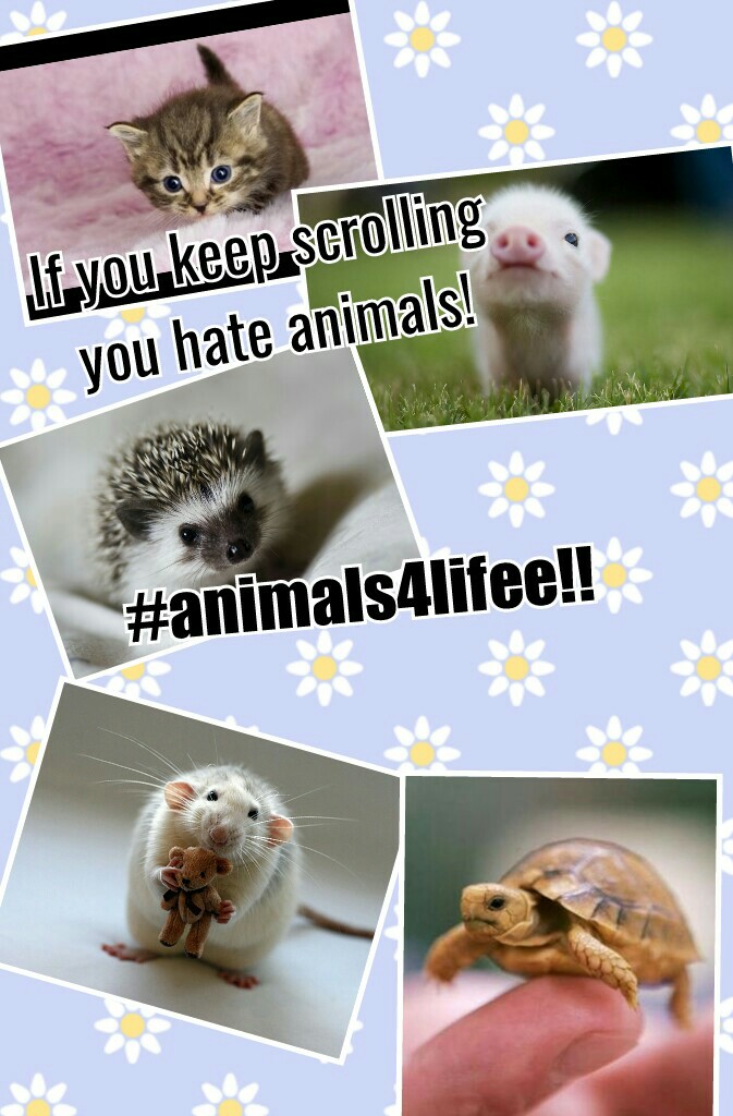 If you keep scrolling you hate animals!