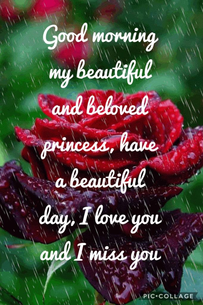 Good morning my beautiful and beloved princess, have a beautiful day, I love you and I miss you 