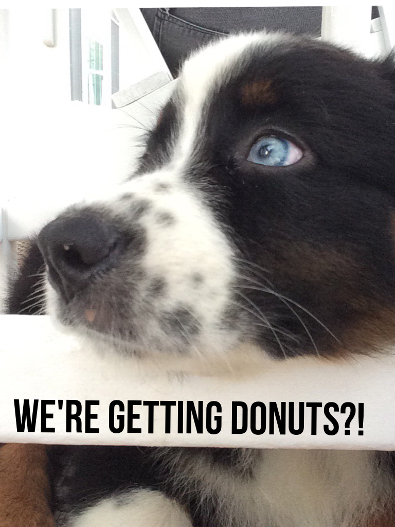 We're getting donuts?!