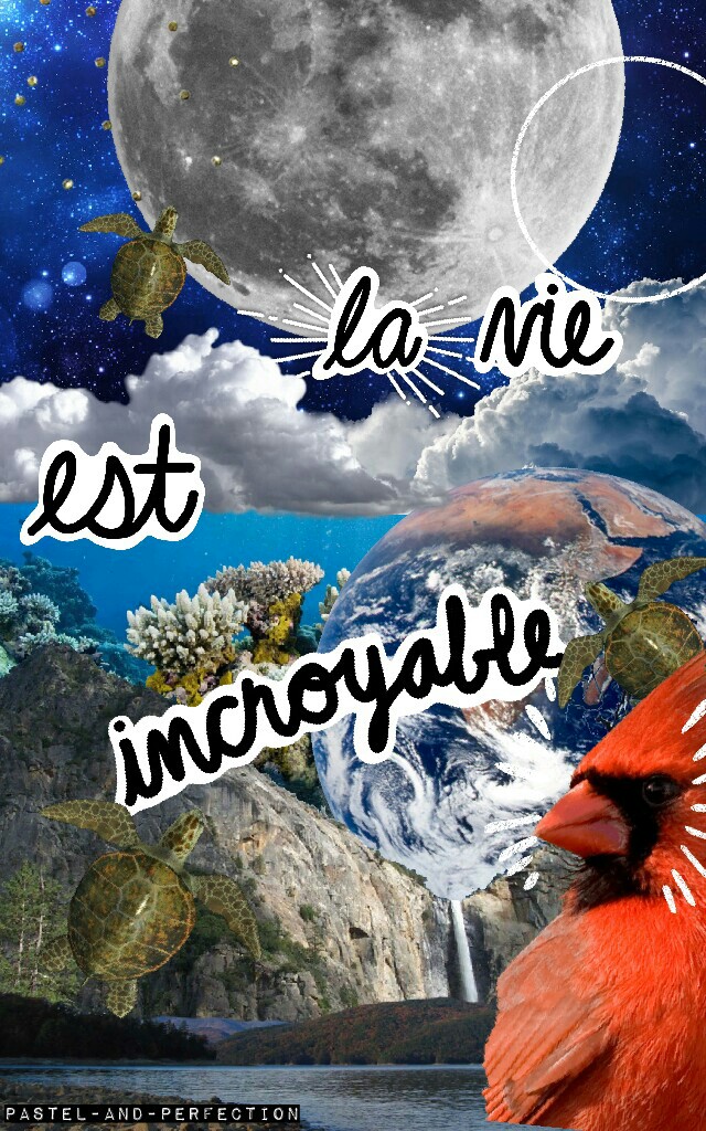 Hey guys! 💕 Sorry I've been gone SO LONG! Rate??? Wow 2 new features! 😊 

Tags: Pconly collage piccollage stickers earth day world Collaging Cardinal moon space waterfall travel adventure love la vie est incroyable Pastel-and-Perfection 