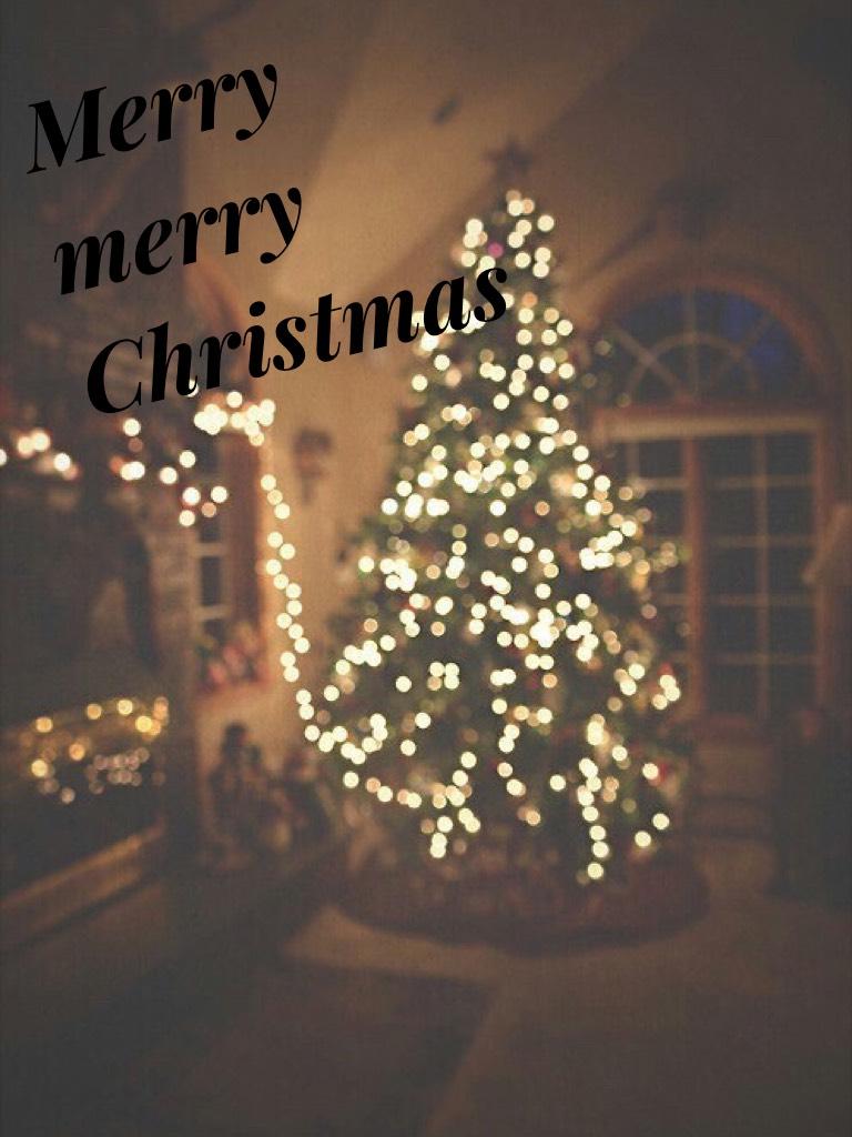 Have a Merry Christmas and stay safe this holiday<3