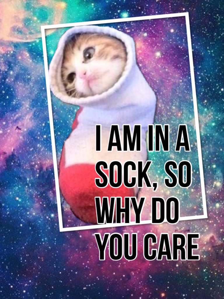 I am in a sock, so why do you care