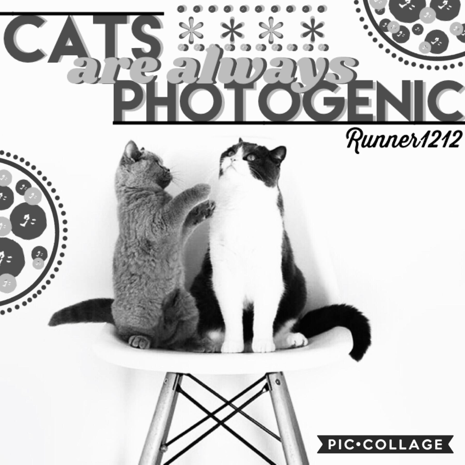 Tap!
This was entered a battle of collagers for Golden-vibe’s account! The task was to make a black and white collage! It was actually really fun and I’m glad to see it turned out okay!
Have a nice day!
7/20/20
😁