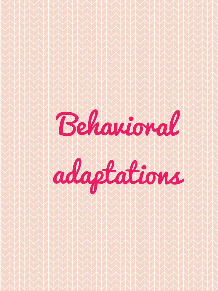 Behavioral adaptations