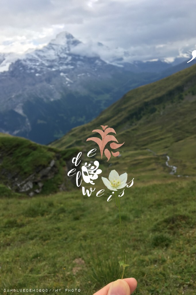 Sound of Music anyone?? 🌸Tap:)
This was extremely random and I made it when I was bored, but this is a picture I took when I was on a trip in Switzerland! The pink swirls were cut out of a picture I took of my bubble bath lol💕