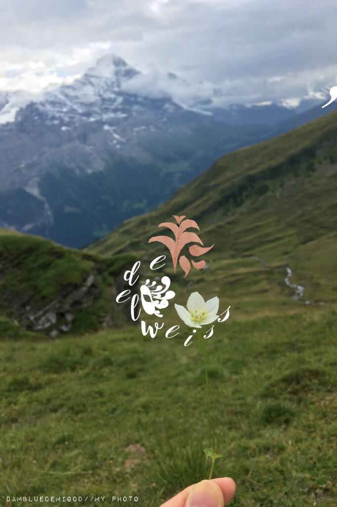 Sound of Music anyone?? 🌸Tap:)
This was extremely random and I made it when I was bored, but this is a picture I took when I was on a trip in Switzerland! The pink swirls were cut out of a picture I took of my bubble bath lol💕