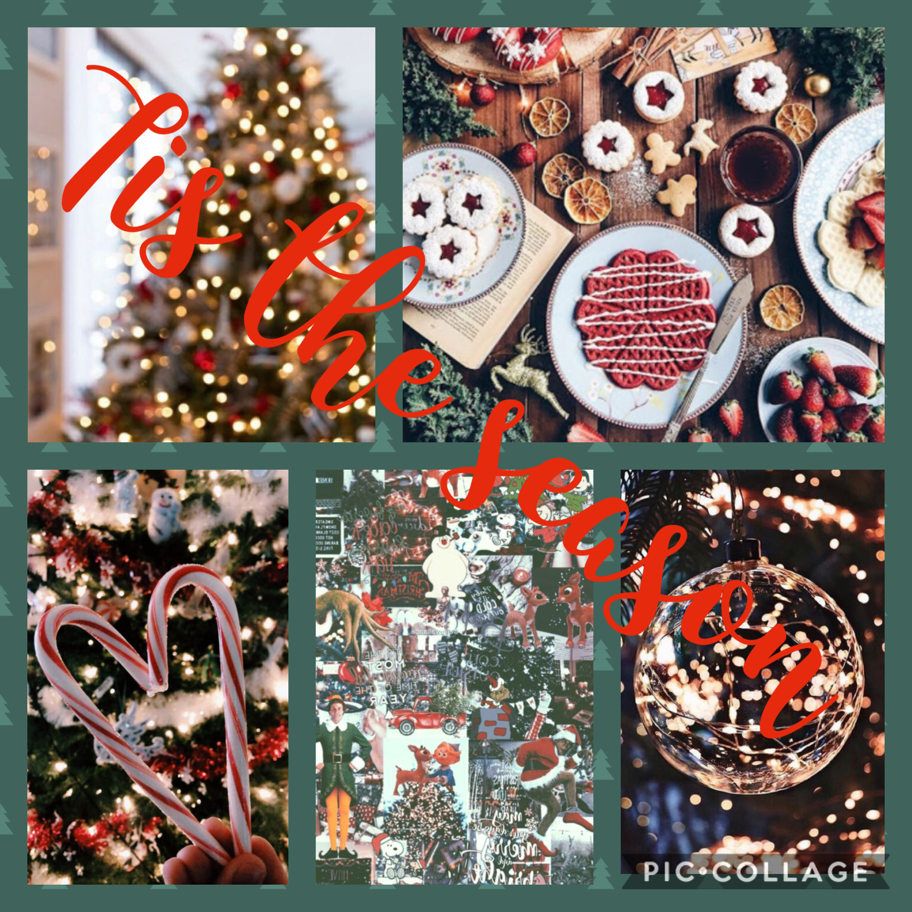 Reposting my favorite Christmas collage!