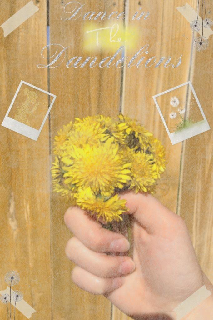 I took this picture of some dandelions I picked! Does it look good?🌼