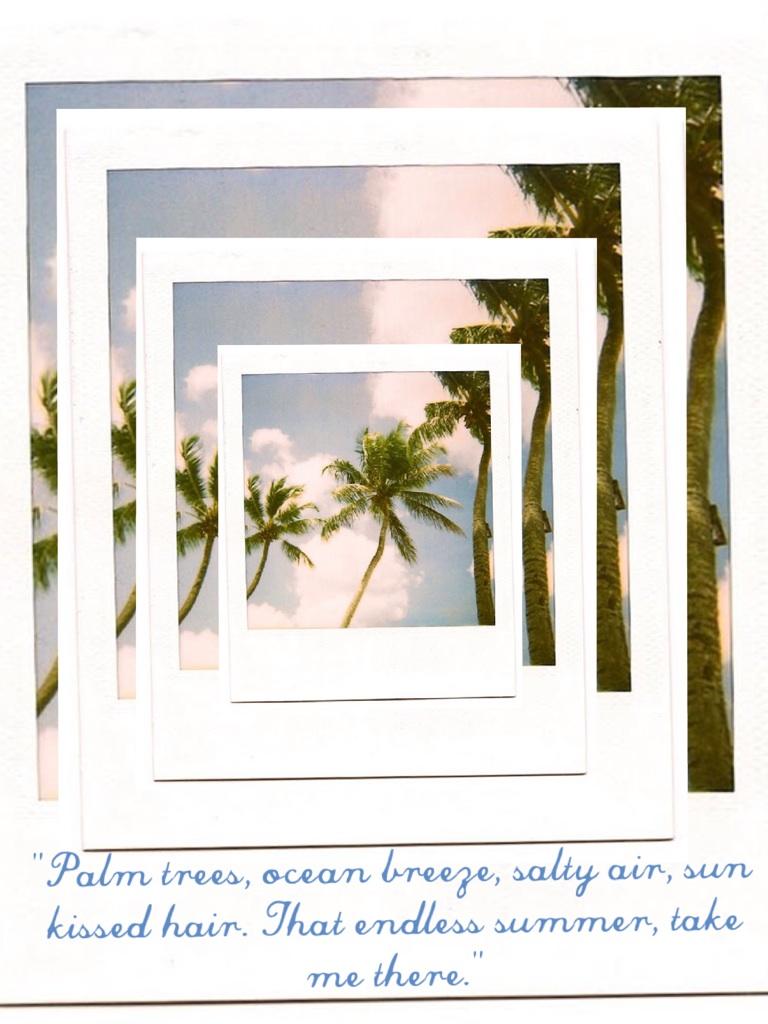 "Palm trees, ocean breeze, salty air, sun kissed hair. That endless summer, take me there."