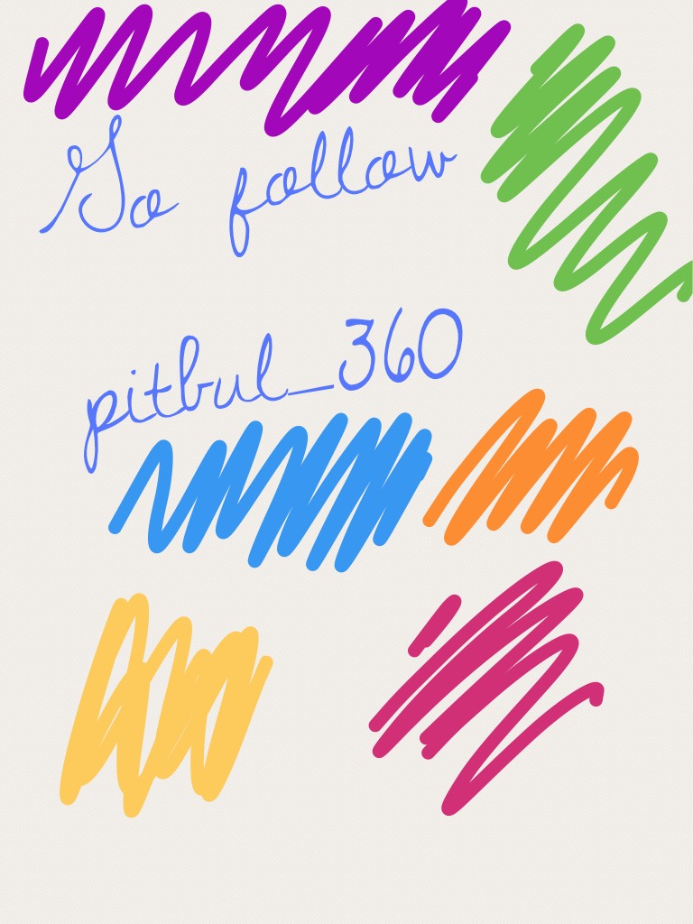 Go follow pitbul_360
