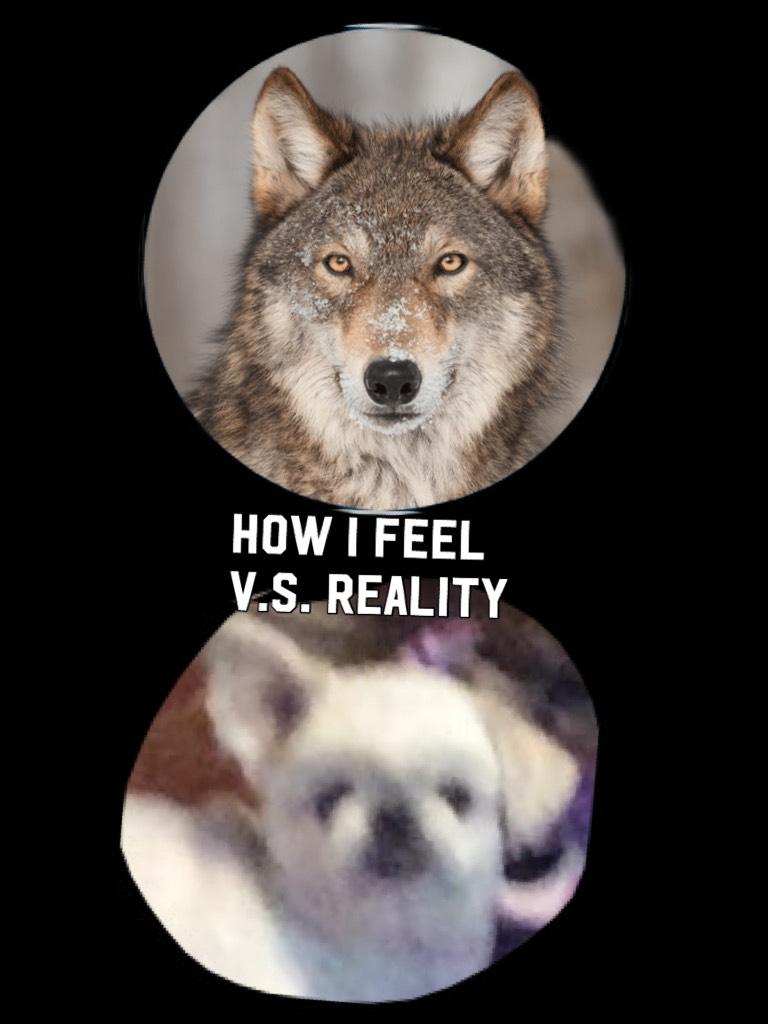 How I feel v.s. Reality