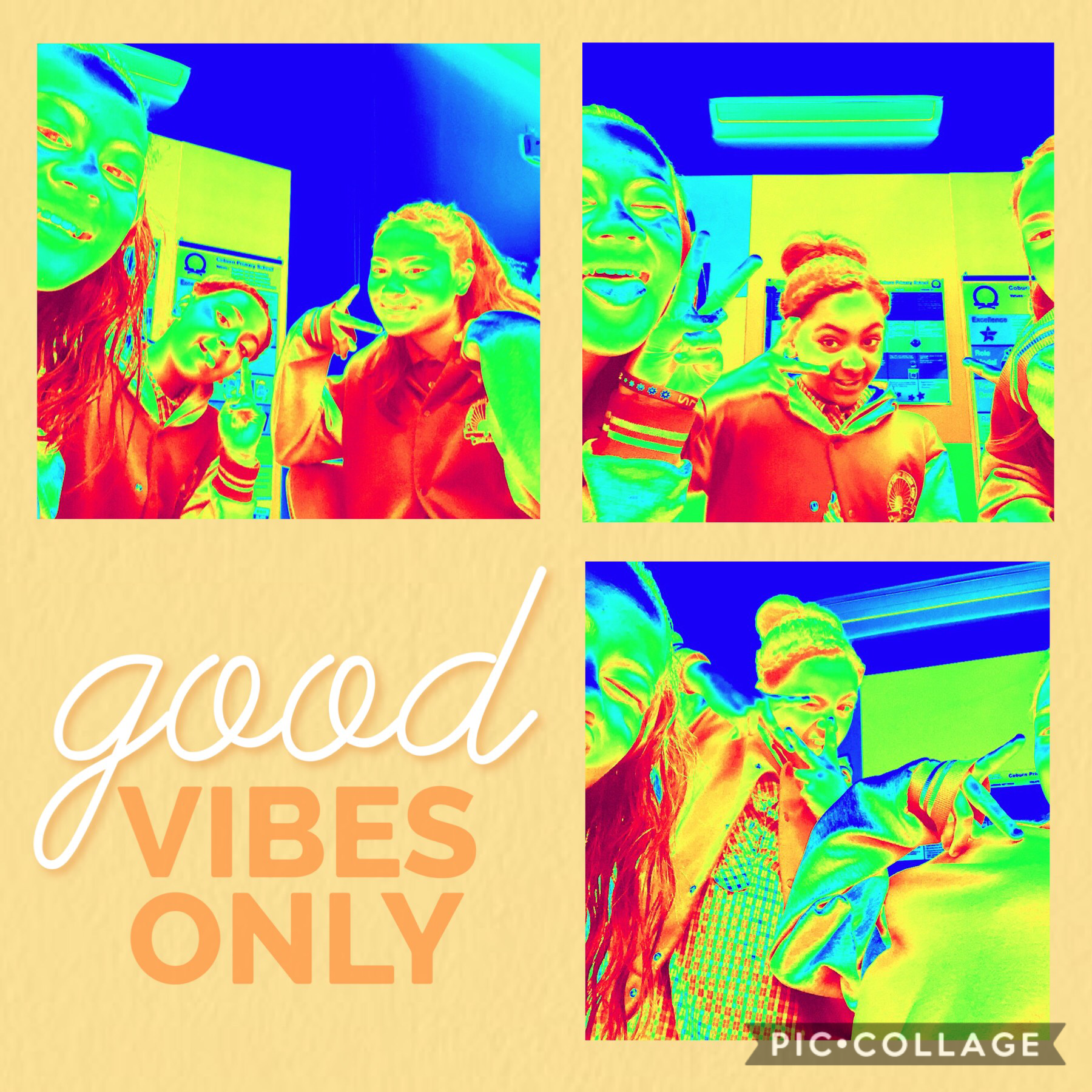 Good vibes only👍