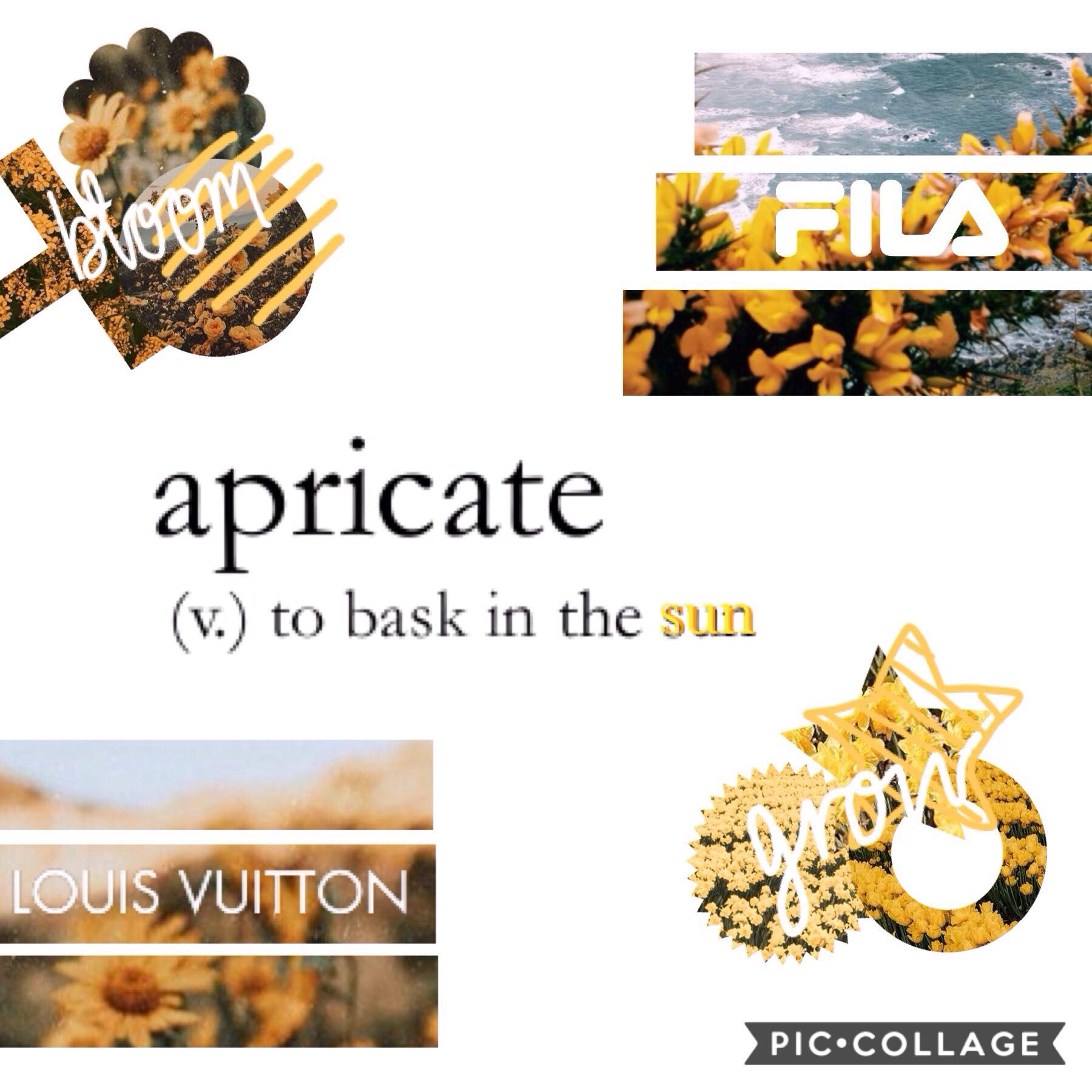 { apricate } - "to bask in the sun" ☀️🌻⛅️ { 25/08 }
today is a nice sunny day where I am, to match the theme of this bright, happy collage😊✨ 
even if you don't have a sunny day today, think happy and on the bright side! my goal: to stay positive and be ki