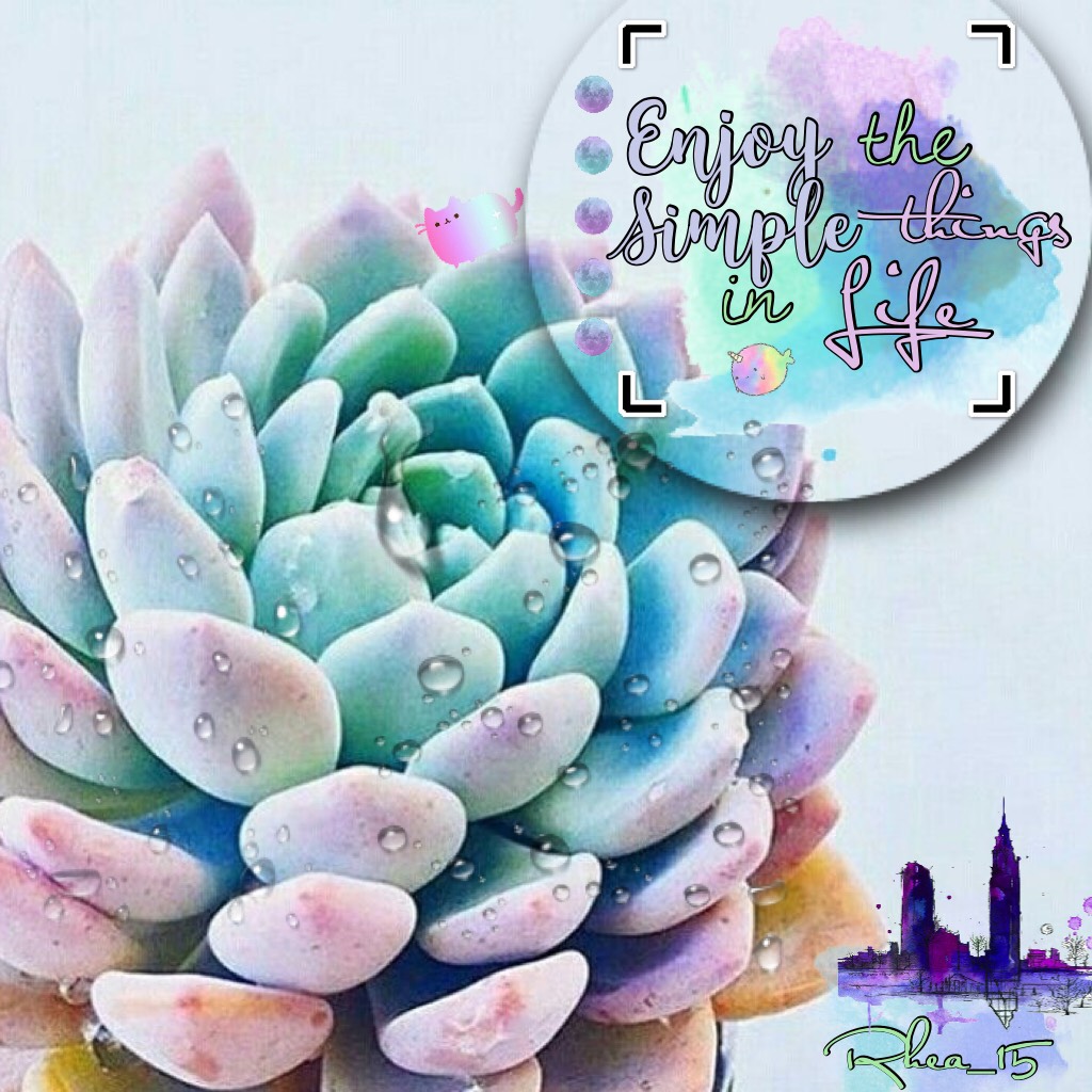 🌵Tap🌵
~4-10-17~
I really like the colours in this collage.
Rate 1-10!
Q: Fav colour?
A: Lavender/Lilac 
Comment ‘🍬’ if you read all this.
