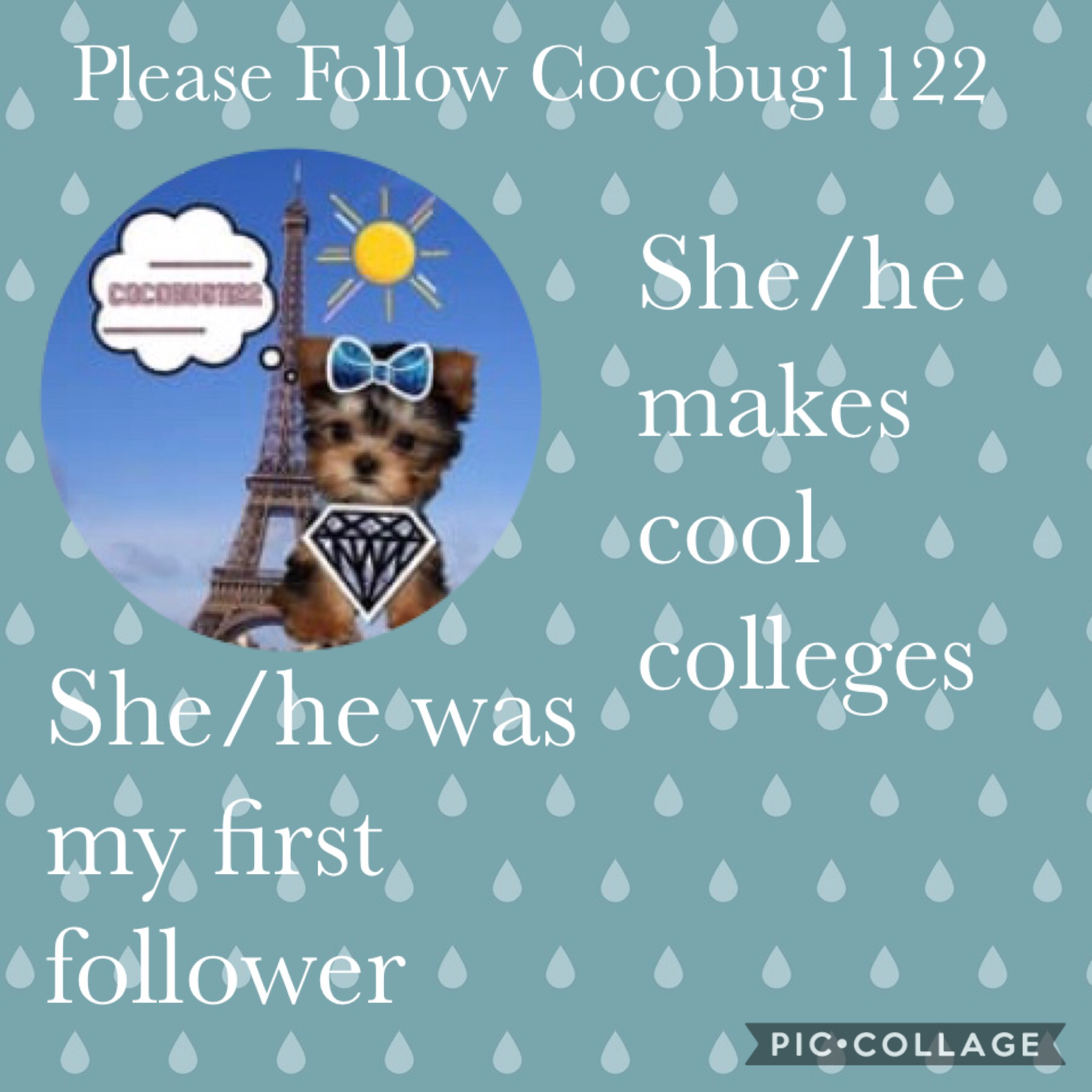 Please follow Cocobug1122
