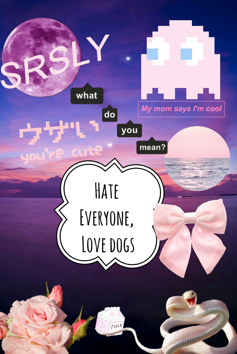 Hate 
Everyone,
Love dogs