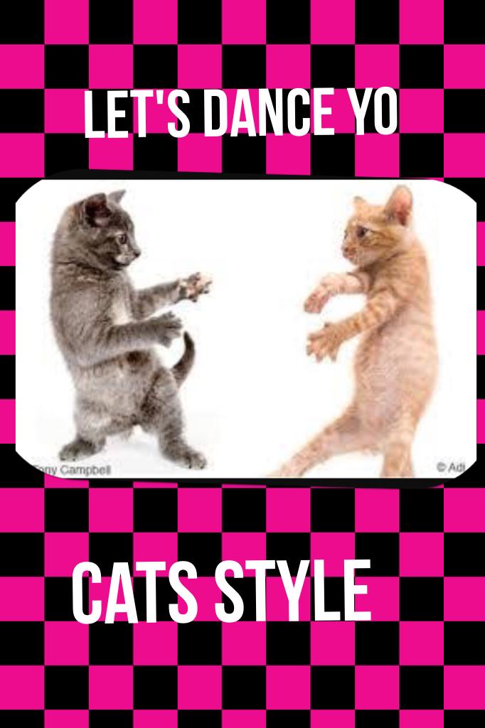 Cats style