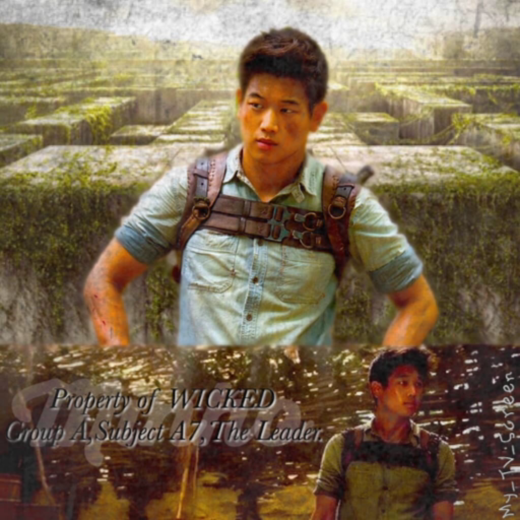 The Maze Runner #5 Click Here
Guess what guys, I noticed this week that sometime last month was my 1 year anniversary, thank you so much to everyone who follows me!!!! Do you want me to do a giveaway or competition??Thanks again!!