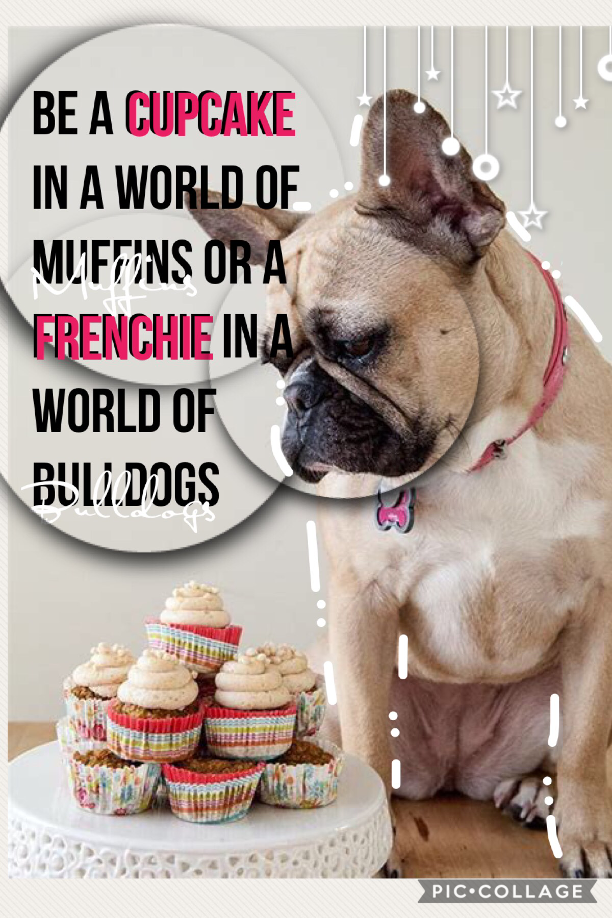 Tap!

Ok first, I love bulldogs and muffins so please no hard feelings and this is my last dog themed post and first cute dessert themed post also, hope you like this one!🐾