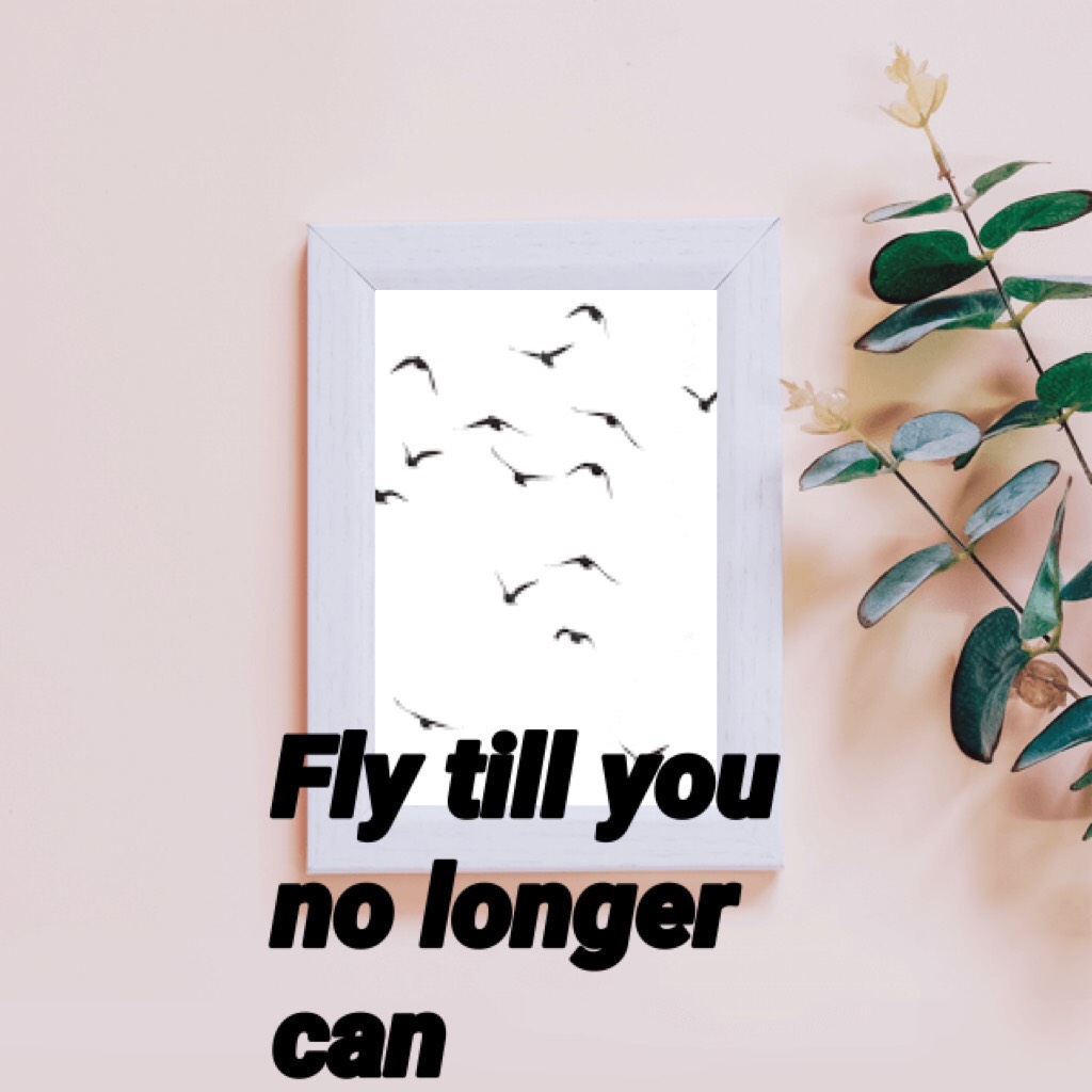 FLY LIKE A BIRD 🦅 
