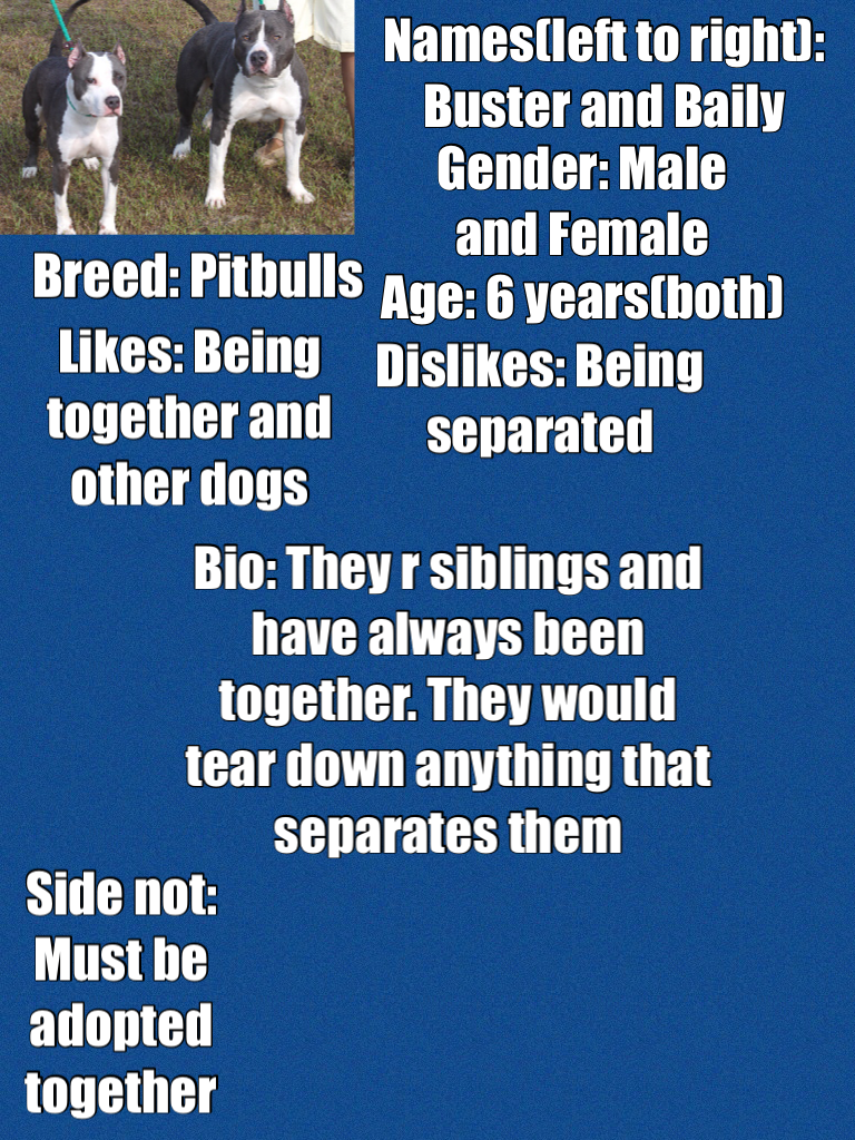Breed: Pitbulls